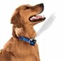 Gentle Spray Anti-Bark Dog Collar