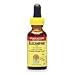 Elcampane (Inula Helenium) may be used for chronic lung infections, as an expectorant, coughs, bronchitis, asthma, pneumonia, tuberculosis of the lungs, respiratory infections, chronic discharge of the urinary bladder and reproductive organs, also cleanses the stomach and intestines of excess mucous coating.