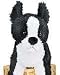 boston terrier - John Boston Terrier by Douglas