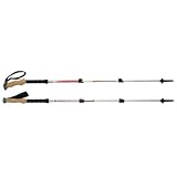 Black Diamond Trail Ergo Cork Trekking Pole
