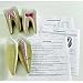 Molar & Incisor Models