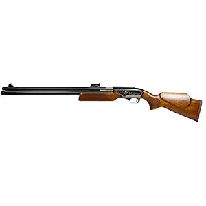 Sam Yang Recluse Air Rifle air rifle