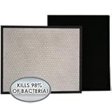 Alen A350 / A375UV VirusHEPA Plus Replacement Filter (BF25A-SILVER)