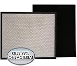 Alen A350 / A375UV VirusHEPA Plus Replacement Filter (BF25A-SILVER)
