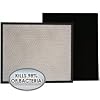 Alen A350 / A375UV VirusHEPA Plus Replacement Filter (BF25A-SILVER)