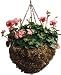 Hanging Moss Basket - 18 Inches