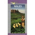 Video Visits - Discovering Wales [1992]