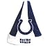 Indianapolis Colts NFL Logo Santa Hat