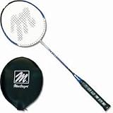 Sporting Goods : The inchChampinch Badminton Racquet, Racquets, Badminton