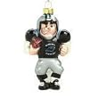 Carolina Panthers NFL Glass White Football Player Christmas Tree Ornament 5.5" - NFL Football