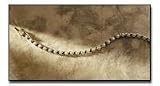 Jacquelin Farre Genuine Diamond Tennis Bracelet