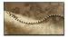 Sporting Goods : Jacquelin Farre Genuine Diamond Tennis Bracelet