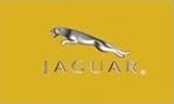 Jaguar Flag 3' X 5' Banner