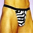 Wild Zebra Posing Strap Thong - Sexy Lingerie for the Wild Man