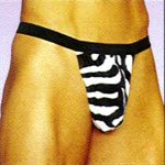 Wild Zebra Posing Strap Thong - Sexy Lingerie for the Wild Man