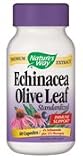 Nature's Way - Echinacea & Olive Leaf, 60 capsules