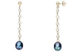 Black and White Cultured Freshwater Pearl 14K Yellow Gold Earrings