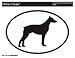 DOBERMAN Oval Bumper Sticker