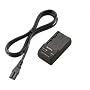 Sony BCTRV Travel Charger (Black)