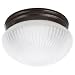 Sea Gull 59440BLE-782 Ceiling Light