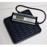 Digital Parcel Scale