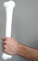 Caveman bone (17in)