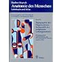 Anatomie des Menschen, in 4 Bdn., Bd.4, Topographie der Organsysteme, Systematik der peripheren Leitungsbahnen