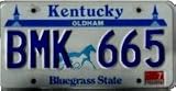 Kentukcy, Bluegrass State, Horses License Plate