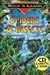 Spiders & Insects (Rock 'n Learn Series)
