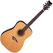 Daytona Dreadnought Guitar