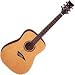 Daytona Dreadnought Guitar