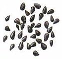Kalonji (Onion Seeds / Nigella) 7oz