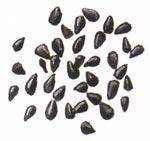 Kalonji (Onion Seeds) 5 Pounds Bulk