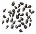 Kalonji (Onion Seeds/Nigella) 7oz