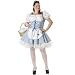 Dorothy of Oz Plus Size Costume