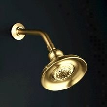 KOHLER K-16167-AF Revival Multifunction Showerhead, Vibrant French Gold