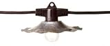 Huntington Lighting 102 Copper 50 Foot string with 10 solid copper shades
