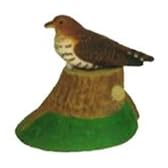 小鳥日和・野鳥図鑑 ホトトギス