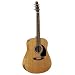Seagull S6 Acoustic Guitar