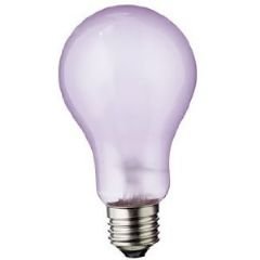 100 Watt Full Spectrum Light Bulb - 5,000 Hour