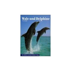 Wale und Delphine. Eine Bildreise