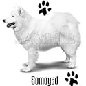 Samoyed Adult Sweatshirt