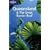Queensland. Tropical diving and outback driving (Lonely Planet Queensland & the Great Barrier Reef)
