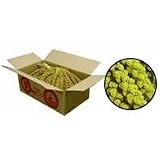 Millet Spray,All Natural Birds Food, Bird Seed, Birds Food, Birds, Pet and Supplies