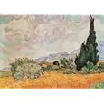 Paysage Avec Cyp