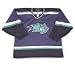 Worcester Ice Cats Road Replica Jersey Image