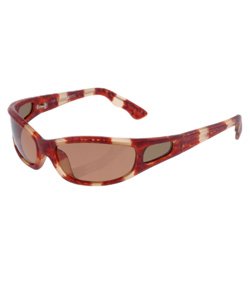 Black Flys Fly Bait Sunglasses - Tortoise Frames
