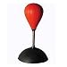 Toys : Mini Swearing Punchball