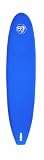 BZ 9-Foot Paddle with Handle