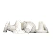 Boston Aqua Farms Reef Plugs 20 count
